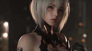 真红玛瑙~PURE ONYX插画